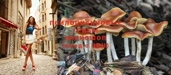 ГАЛЛЮЦИНОГЕННЫЕ ГРИБЫ Армянск