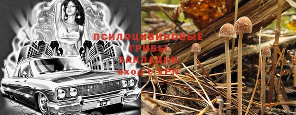 ГАЛЛЮЦИНОГЕННЫЕ ГРИБЫ Армянск