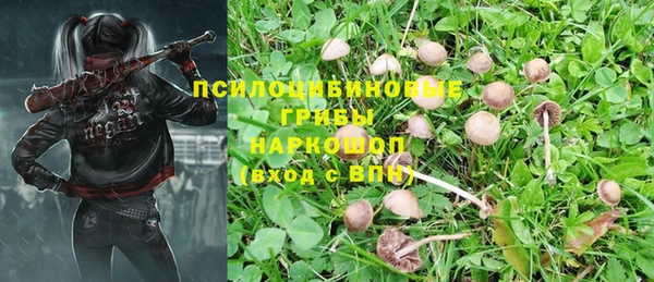 тгк Арсеньев