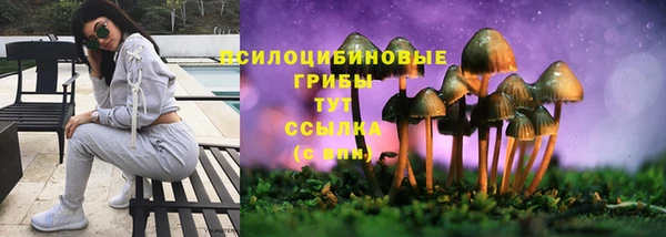 тгк Арсеньев