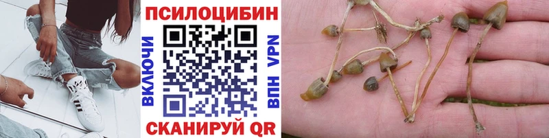 Купить где  Новая Ладога  Псилоцибиновые грибы мухоморы 